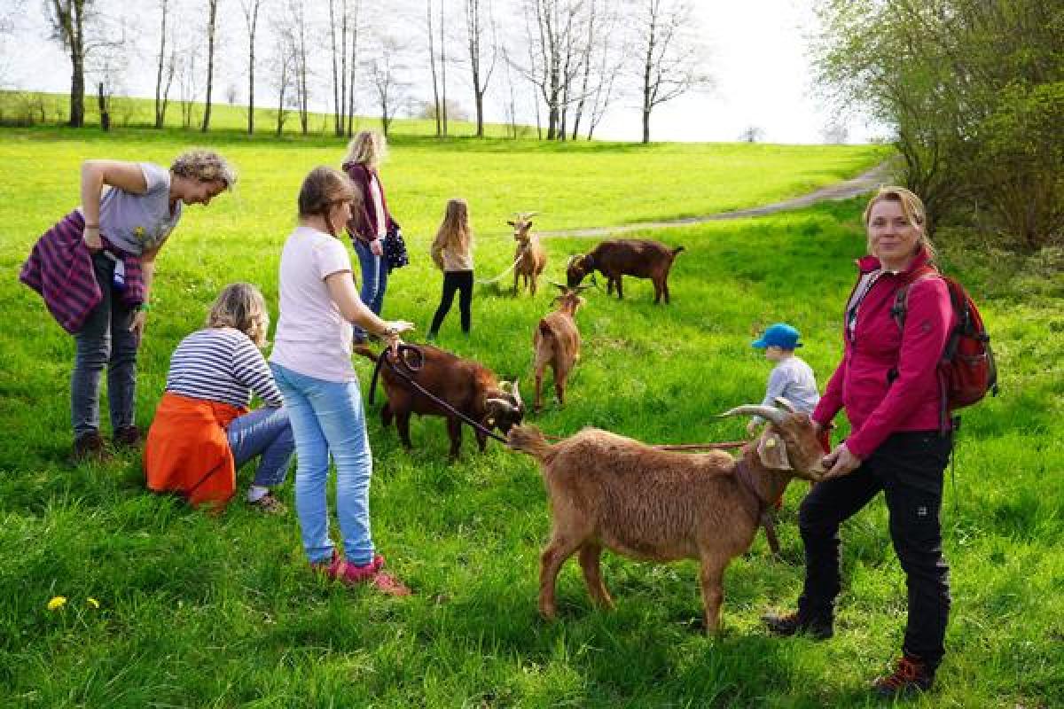 Bild zur Veranstaltung: Bock auf Ziegenwanderung?!